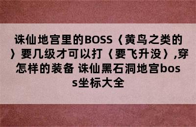 诛仙地宫里的BOSS〈黄鸟之类的〉要几级才可以打〈要飞升没〉,穿怎样的装备 诛仙黑石洞地宫boss坐标大全